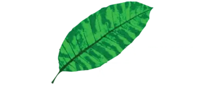 Bukit Baruga | Harmoni Kehidupan Logo